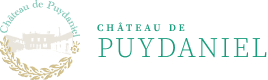 Logo Chateau De Puydaniel